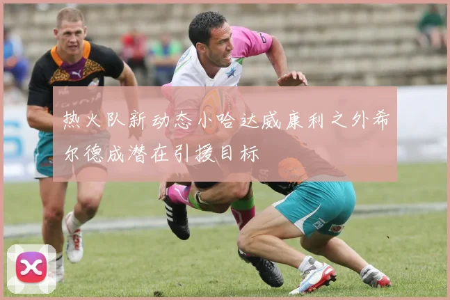 热火队新动态小哈达威康利之外希尔德成潜在引援目标